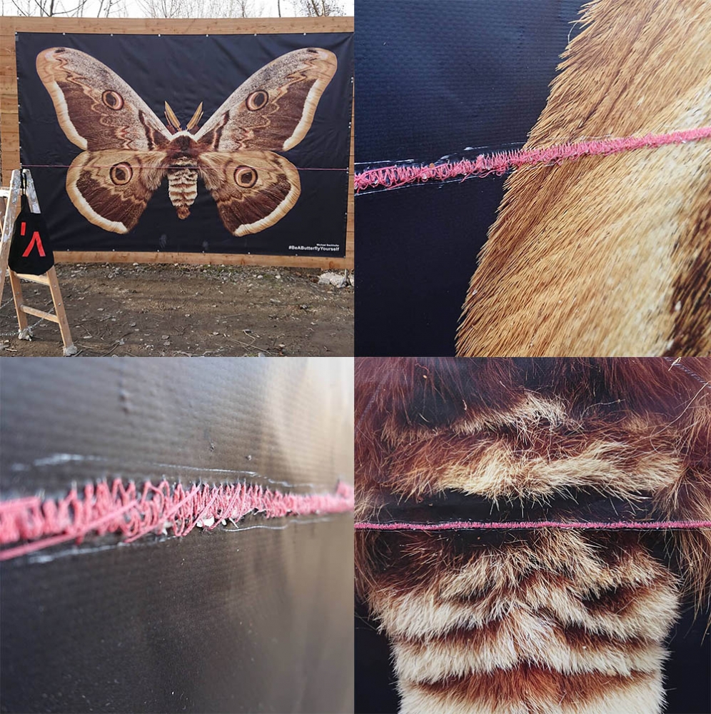 Exhibited at several places (Freie Mitte Wien, Praterstern, Marchegg) and funded by the campaign "Blühlinge" of the NGO Global2000. Co-funded by ÖBB.